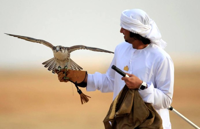 Соколиная охота в Саудовской Аравии