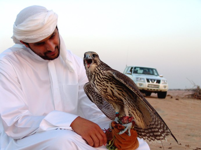 Соколиная охота Бахрейн