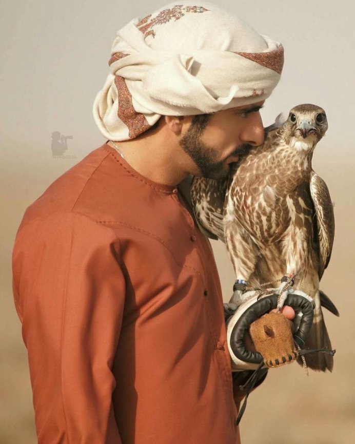 Принц Хамдан на Соколиной охоте