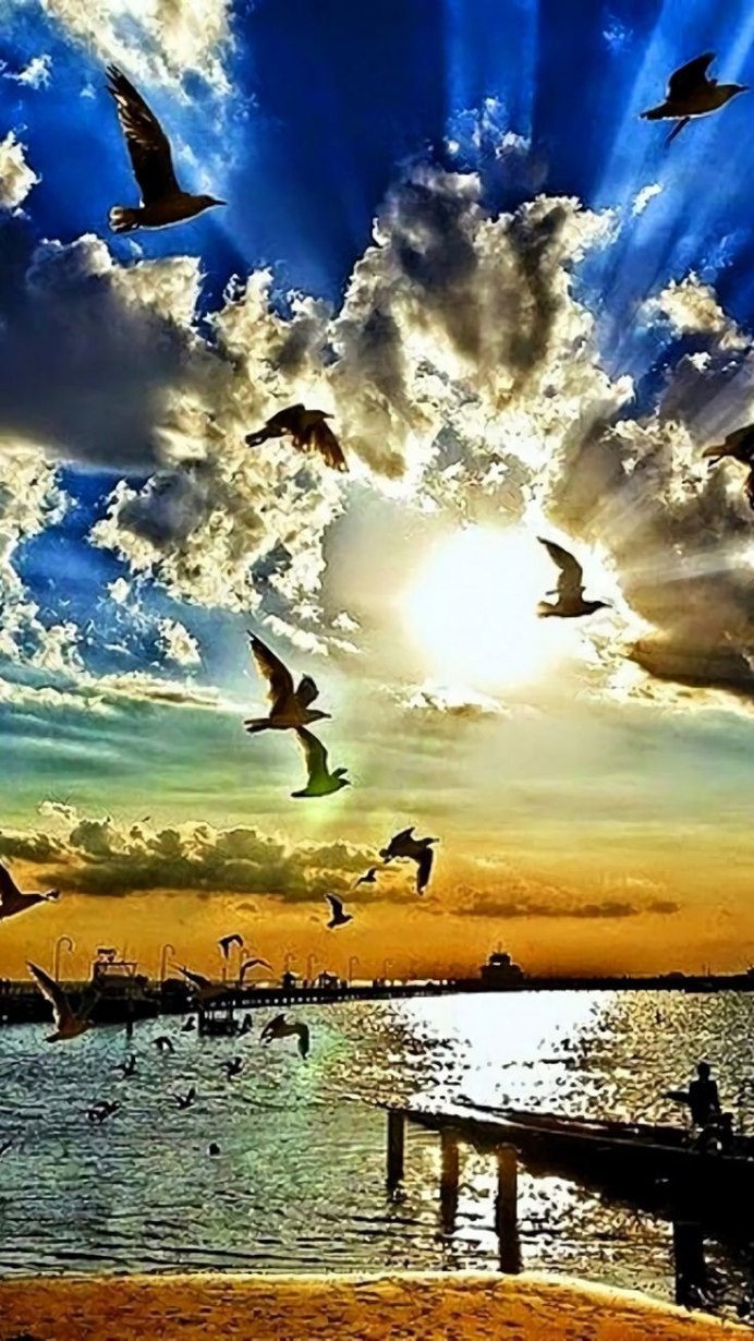 Птица в облаках