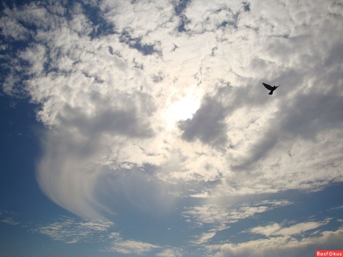 Отражение неба в окне