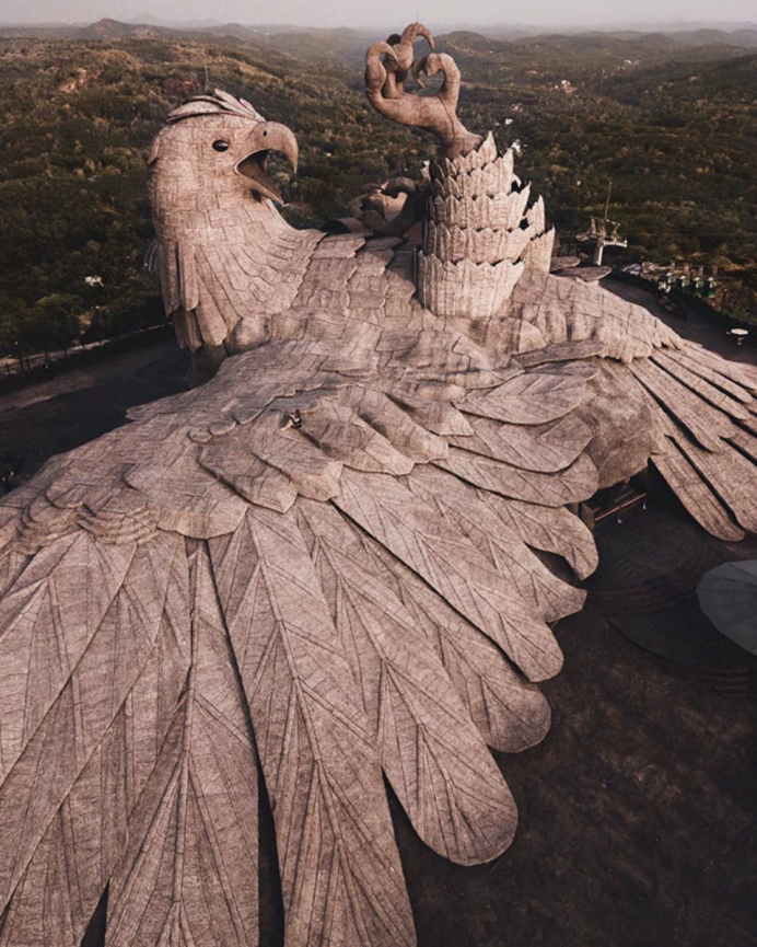 Андский Кондор размах крыльев