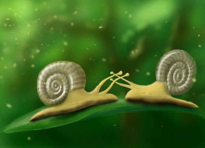 Медленная улитка