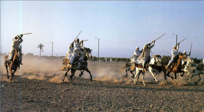 Кони берберов