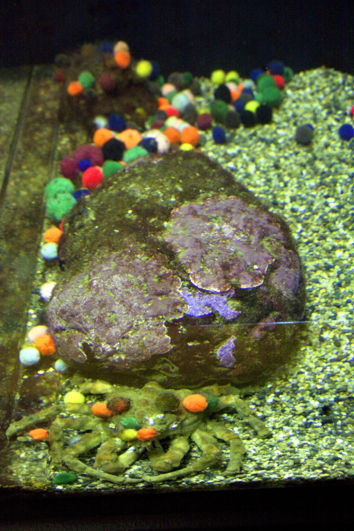 Краб gbe07-085 красный