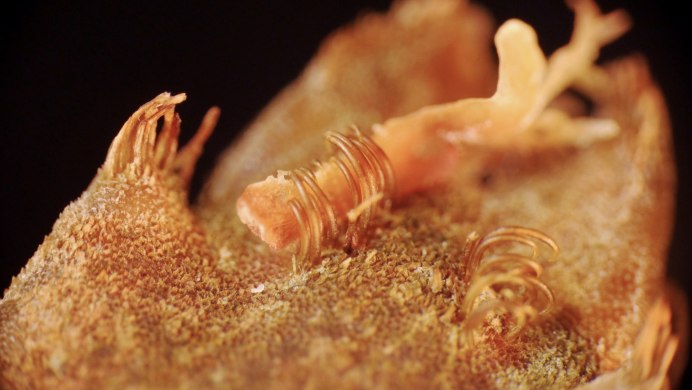 Краб фигура для дачи