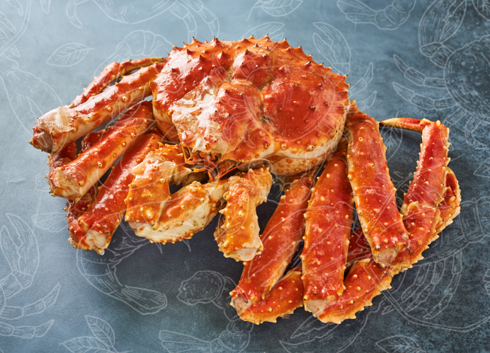 Красный рифовый краб