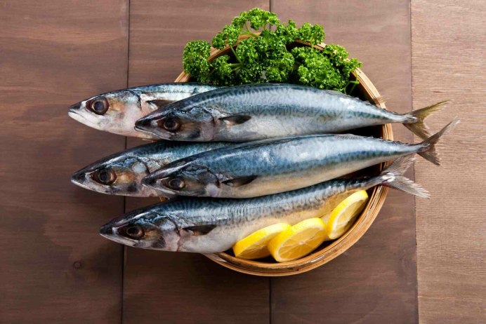 Макрель и скумбрия