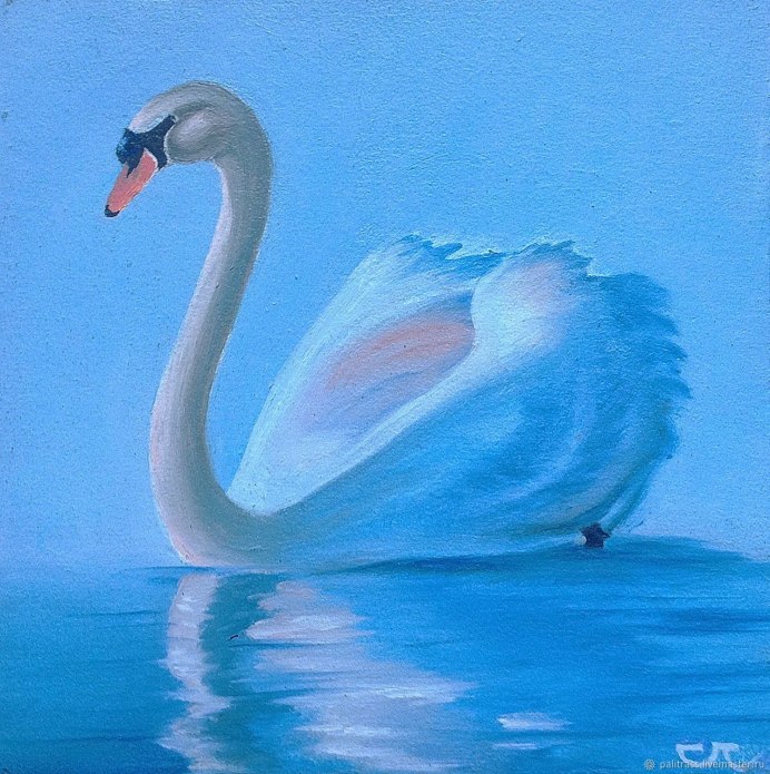Картины лебеди на воде