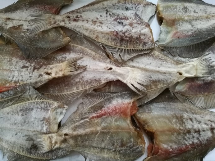 Мурманская камбала Ерш