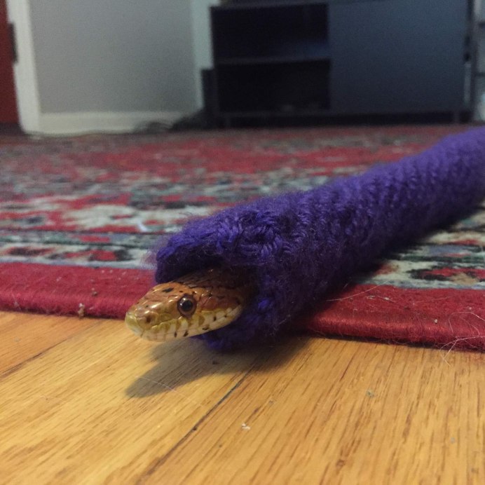 Колючая кустарниковая гадюка (Atheris hispida)