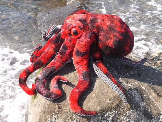 Enteroctopus dofleini