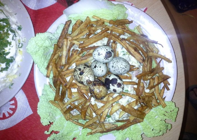 Птенец рябчика