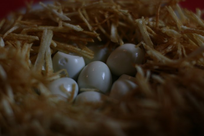 Гнездо куропатки