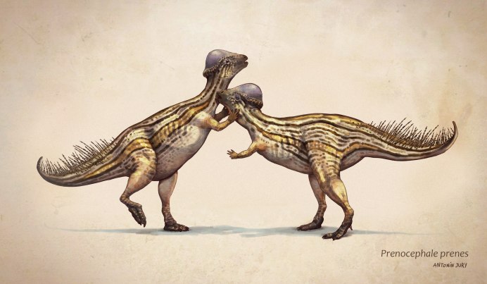 Schleich: Пахицефалозавр 15024