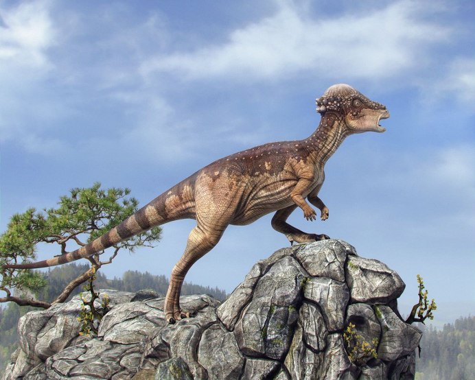 Stygimoloch динозавр