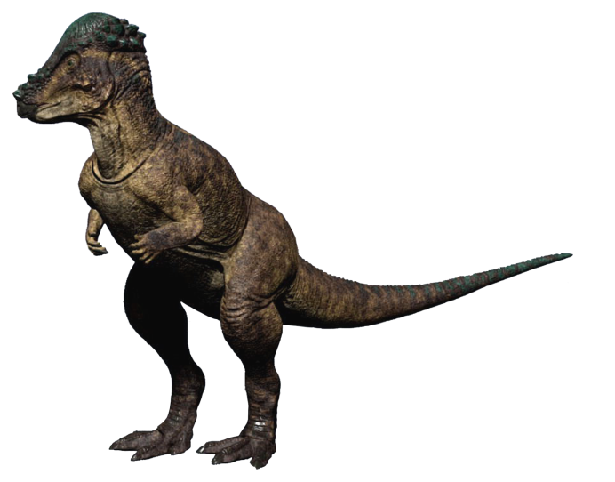 Пахицефалозавр Saurian