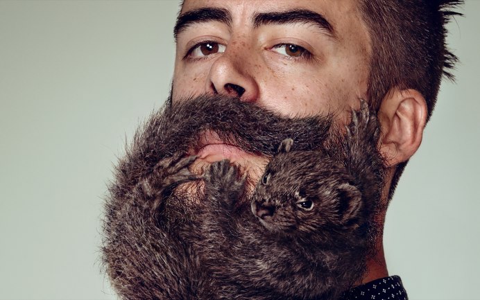 Бородатая свинья с острова Борнео