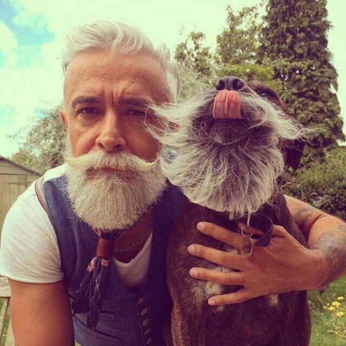 Собака лохматая ветер