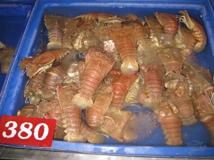 Как выглядит рак-медведь