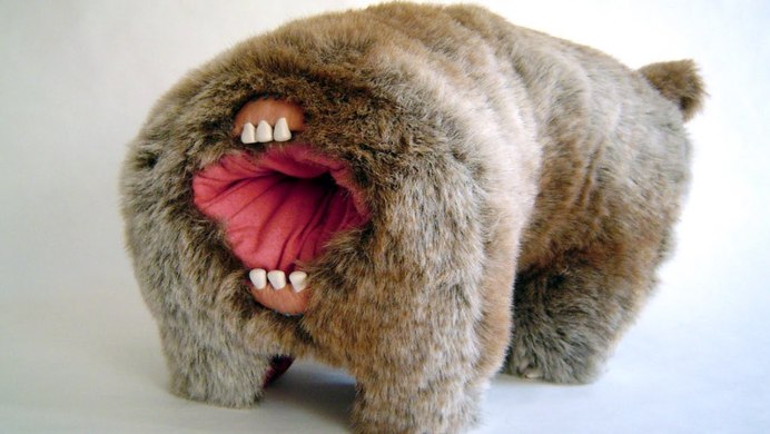 Жук капустянка