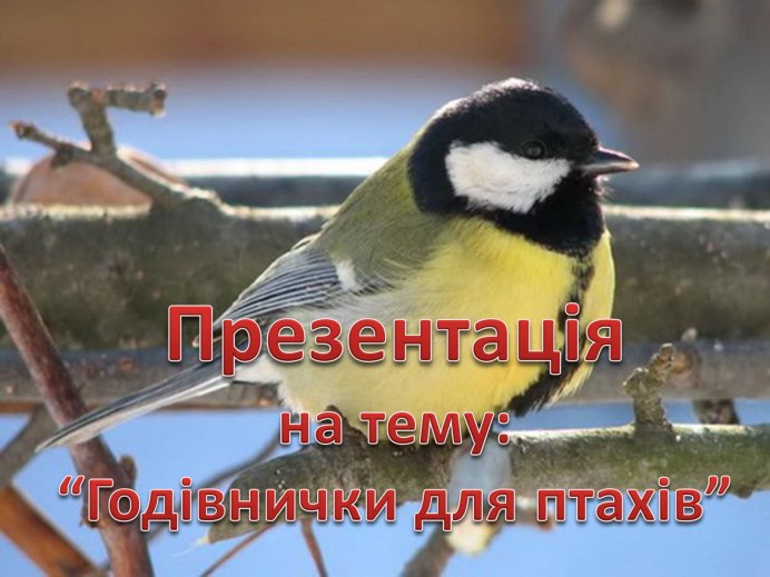 Лесные птицы синица