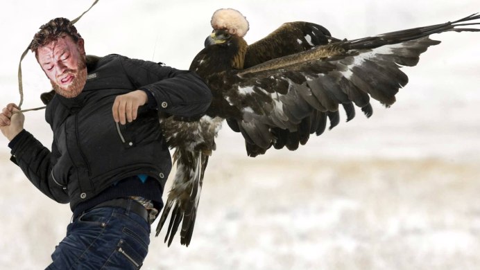 Хищные птицы Южного Урала