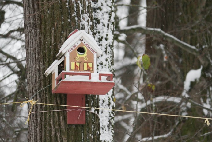 Птицы Сергиево Посадского райо