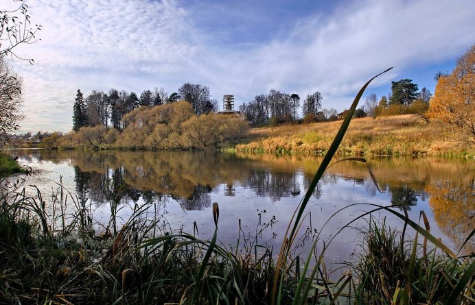 Птицы Карелии Сойка