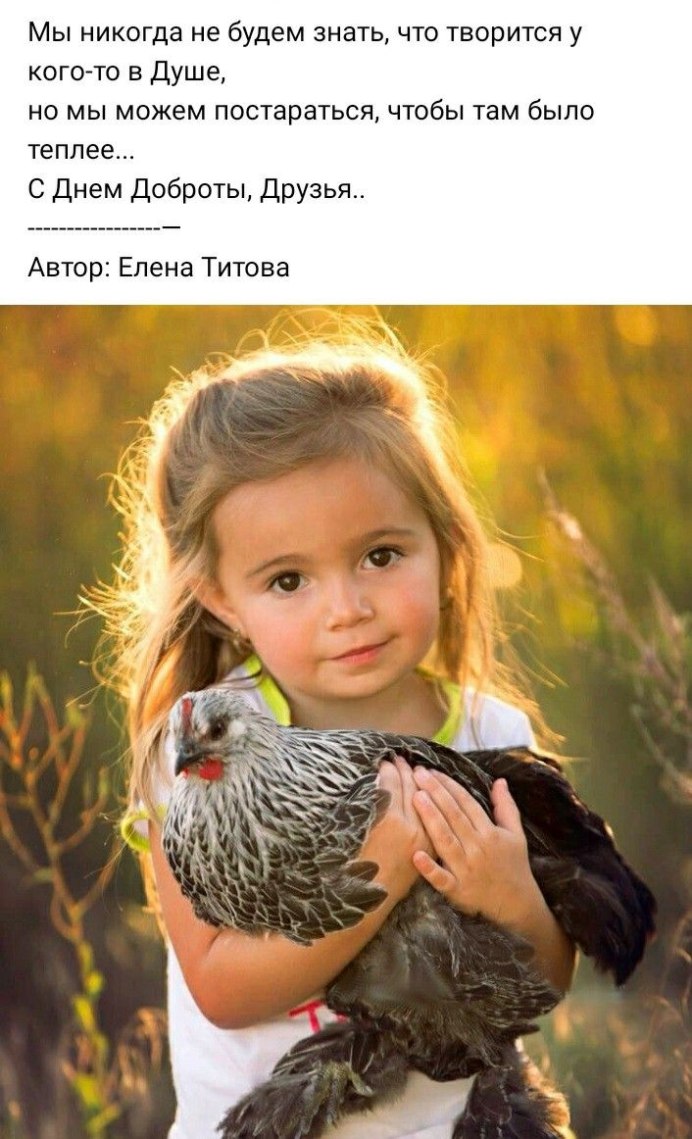 Дети с животными и птицами