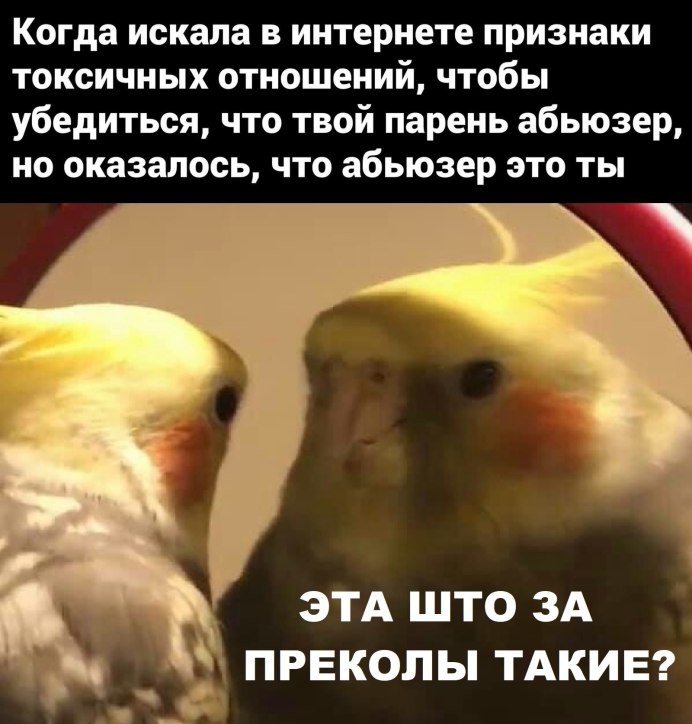 Попугай суицид