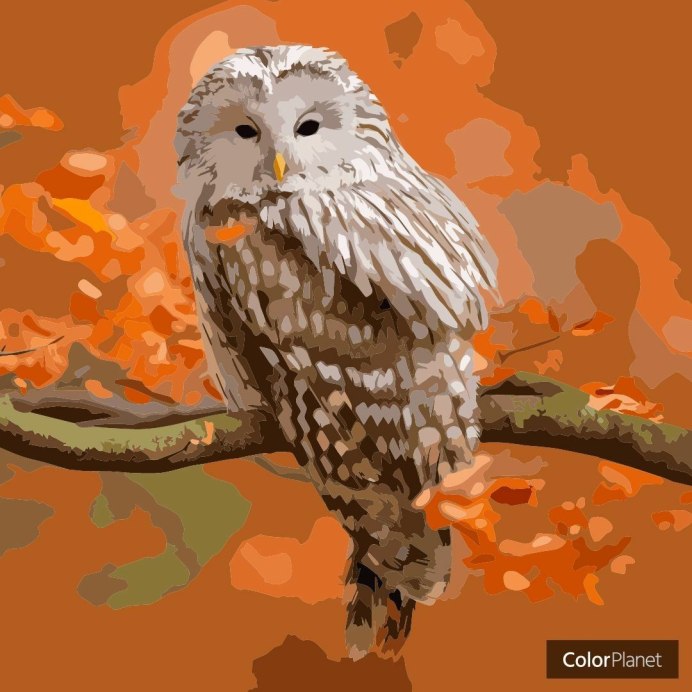 Сова на ветке