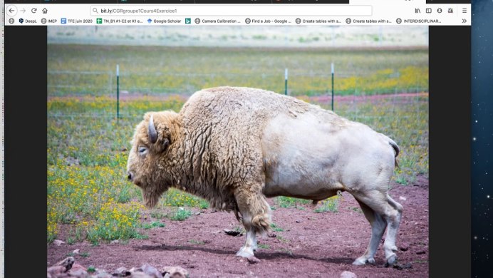 Американский белый Бизон