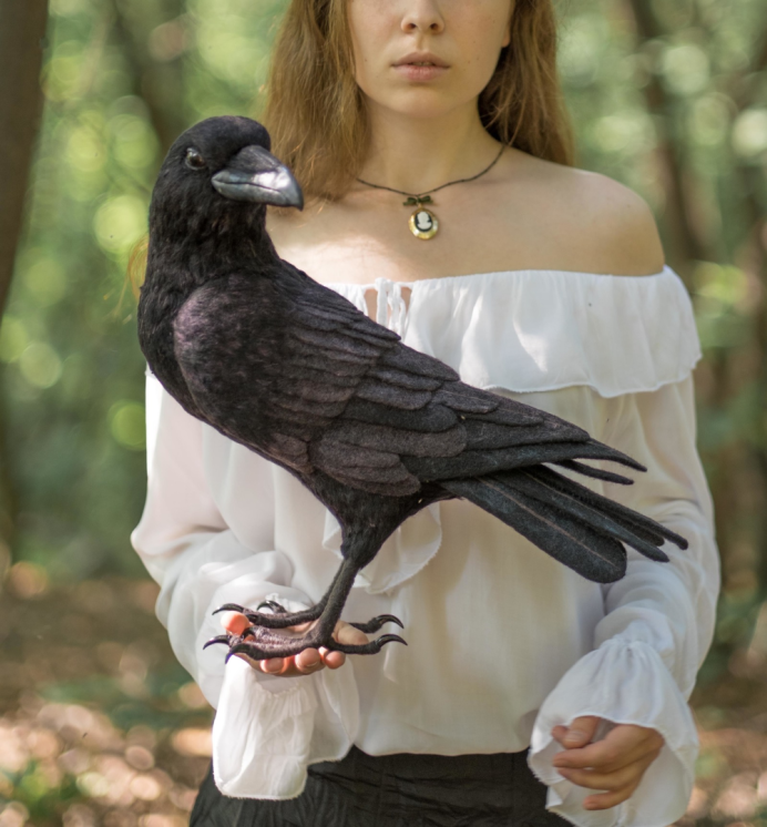 Ручная ворона