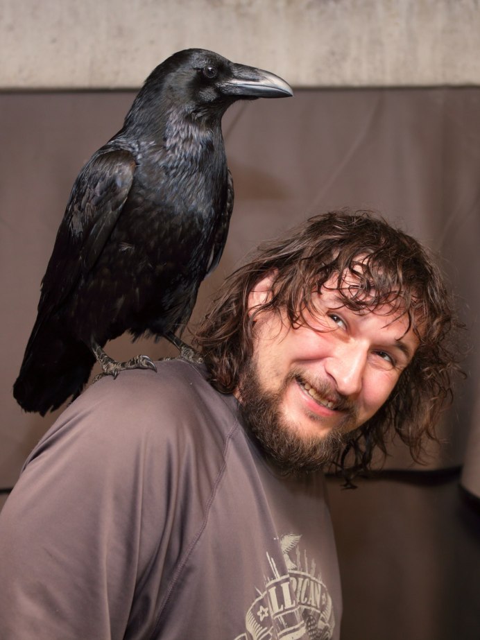 Домашний ворон