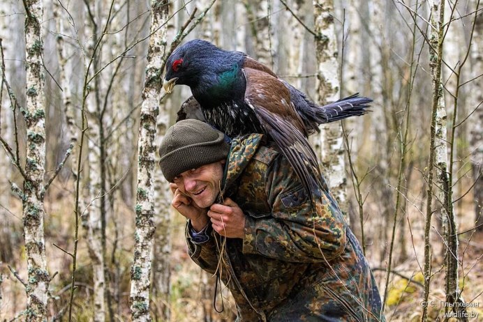 Птица и охотник