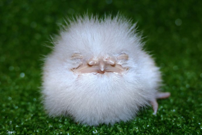 Игрушки в смешанной технике