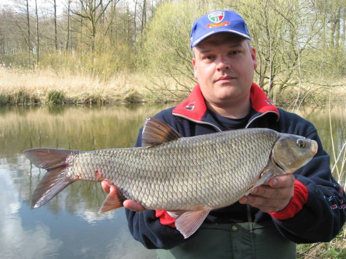 Амурский чебачок Pseudorasbora Parva
