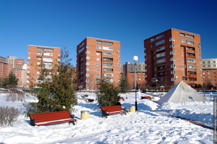 Черный Стриж птица