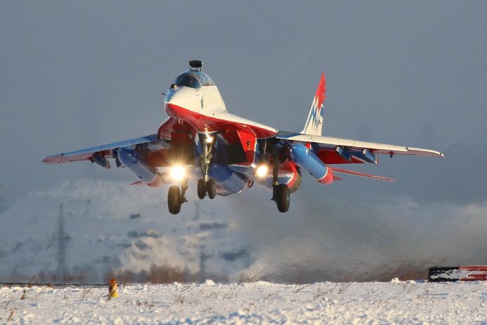 Стрижи в природе