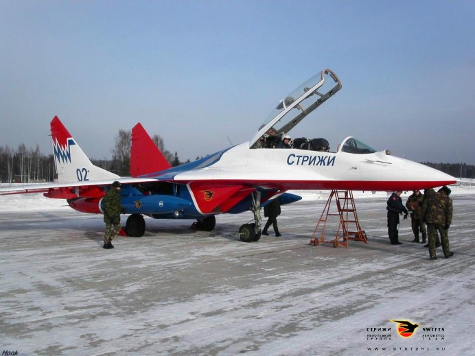 Ласточка береговушка и Стриж