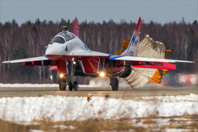 Черный Стриж – APUS APUS