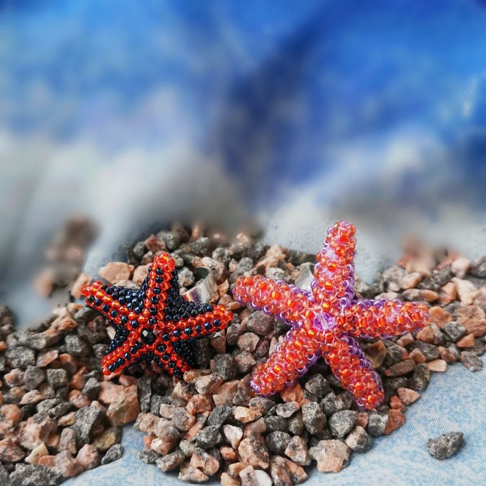 Морской ёж песчаный доллар (Clypeaster humilis)