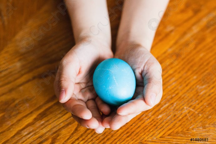 @Buy Eggs Инстаграм