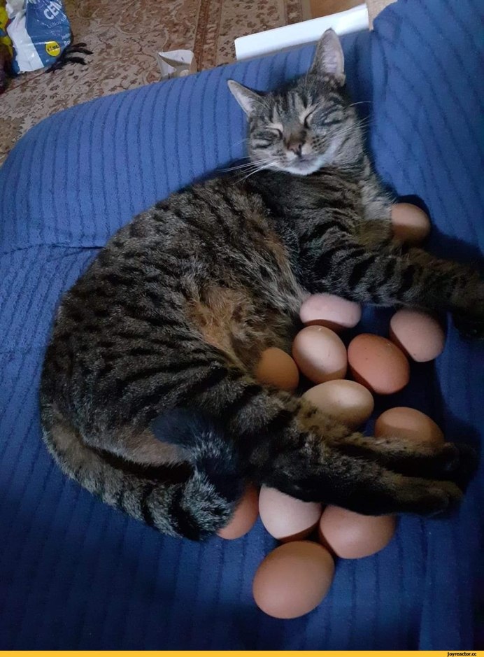 Easter Egg Hunt традиции