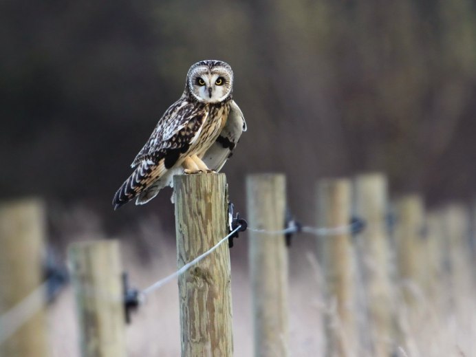 Взглянуть на мир иначе