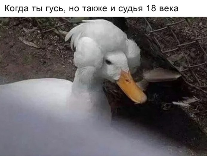 Смешной Гусь