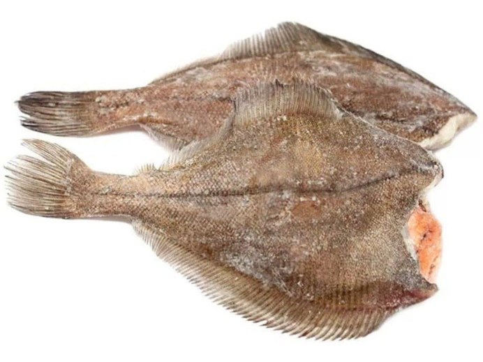 Звездчатая (Platichthys stellatus)