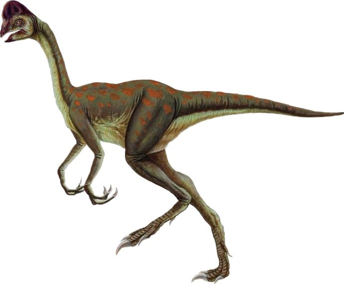 Овираптор гнездо