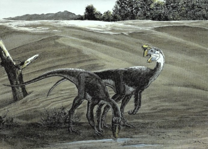 Динозавры Овирапторы